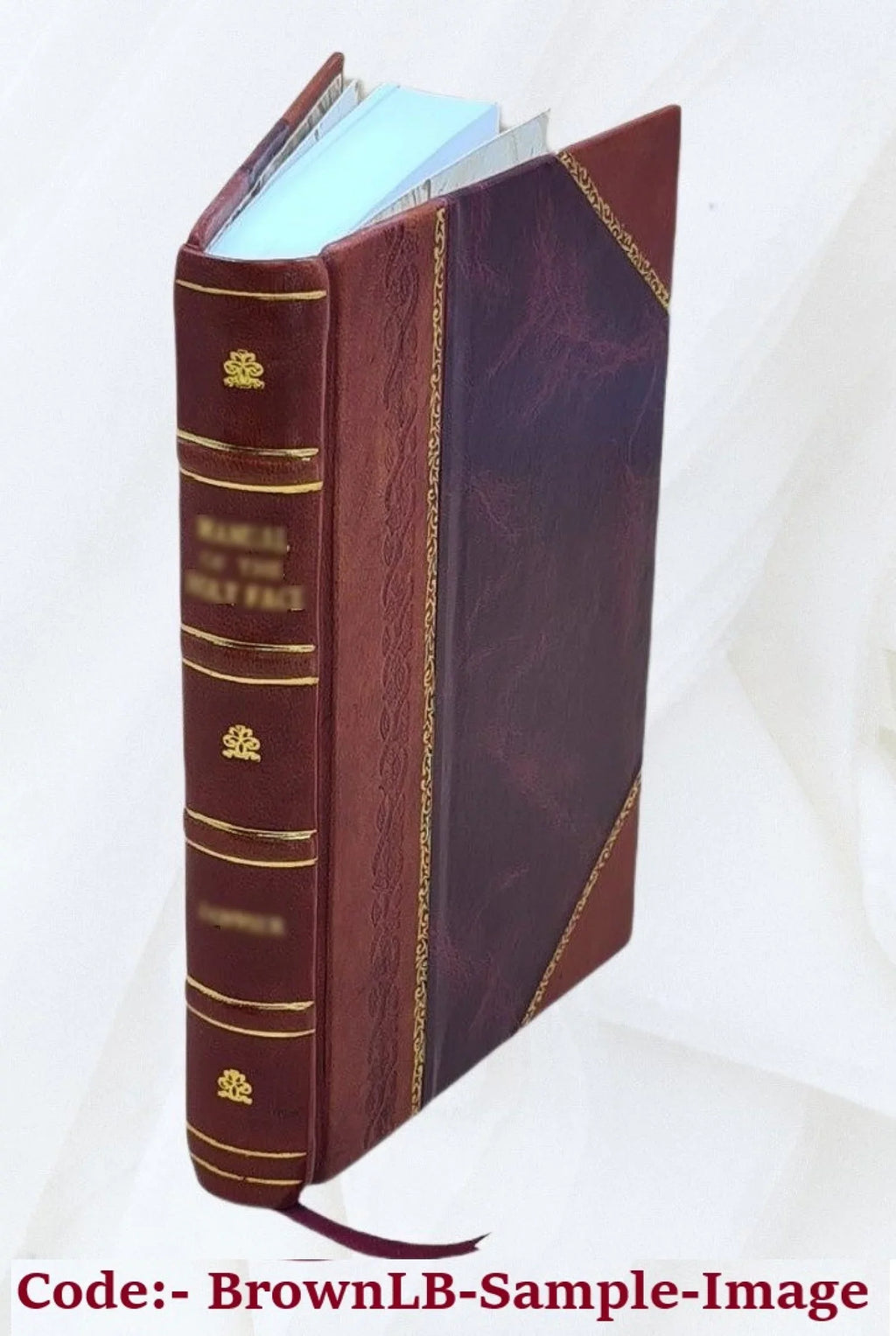 Herodotus Books V and : Terpsichore and Erato. Edited with notes and appendices by Evelyn Abbott. 1893 [Leather Bound]
