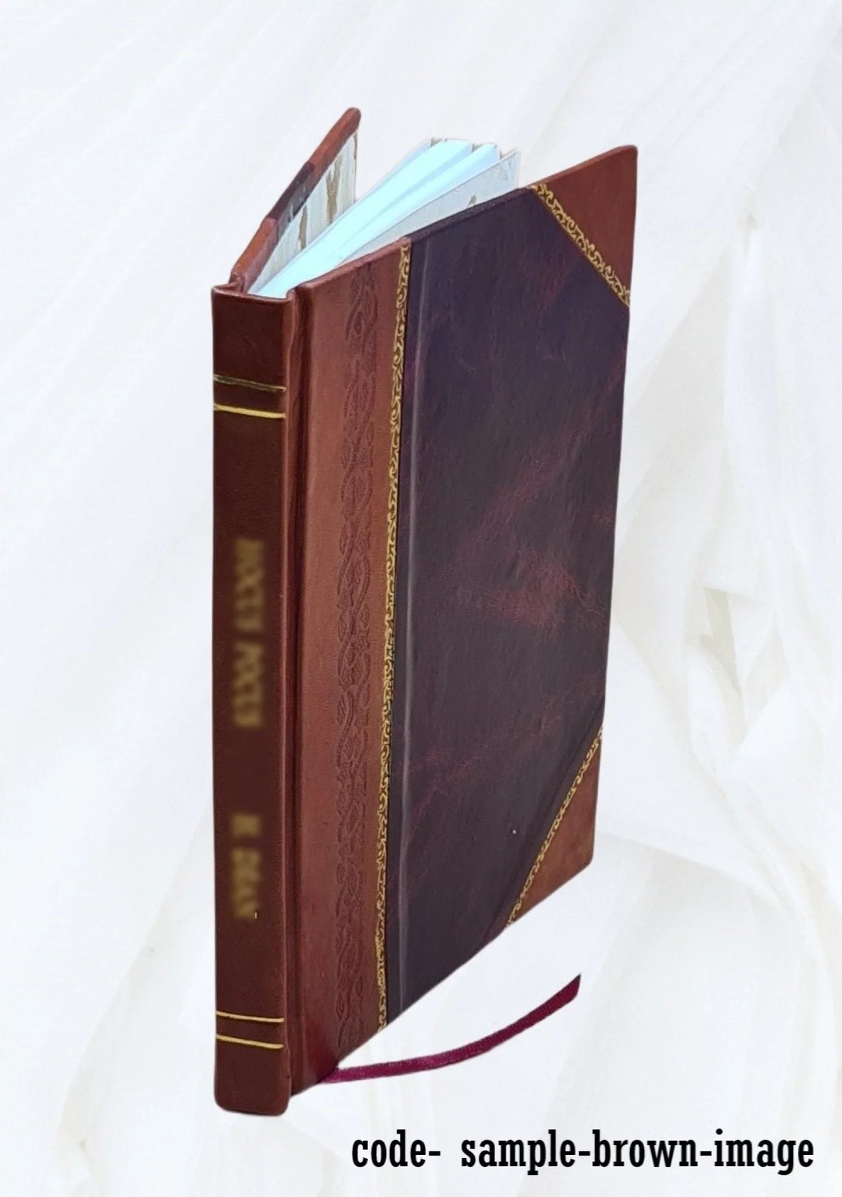 China by Mortimer Menpes text by Sir Henry Arthur Blake. 1909 [Leather Bound]