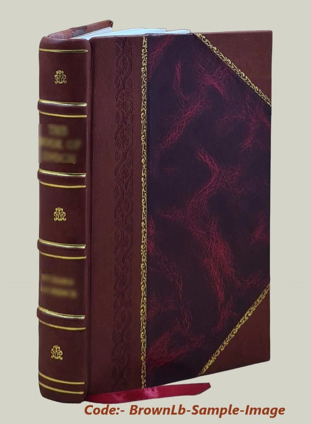 Manuel de philologie classique : d'après le Triennium philologicum de W. Freund, et les derniers travaux de l'érudition / par Salomon Reinach. 1884 [Leather Bound]