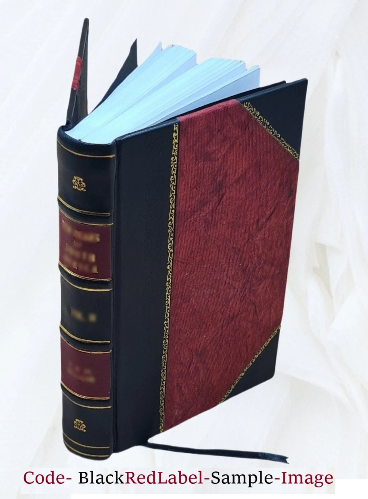 Old plate, its makers & marks 1903 [Leather Bound]